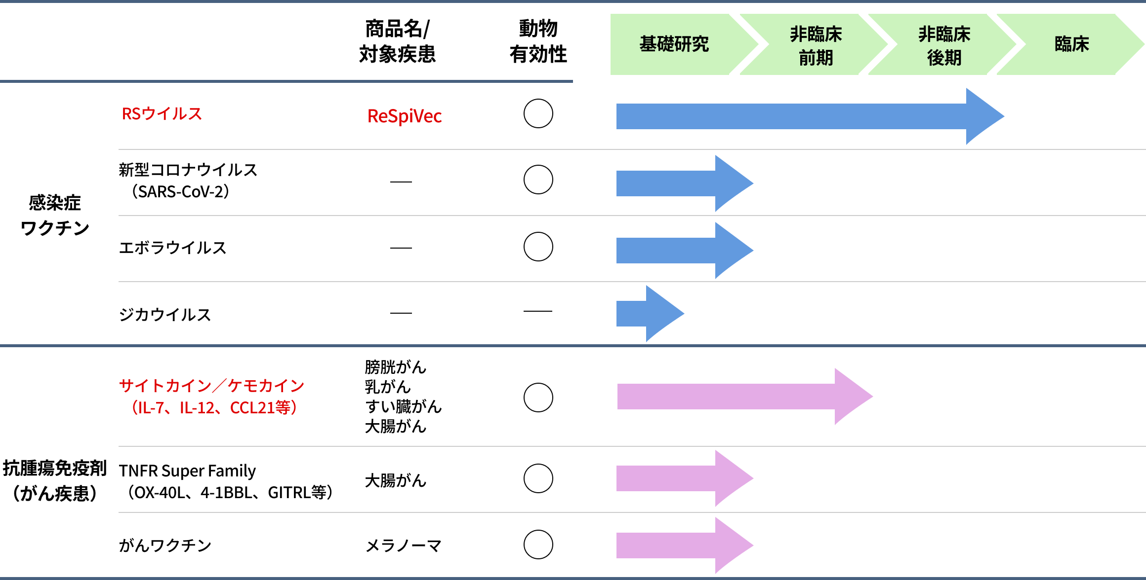 開発パイプライン説明図
