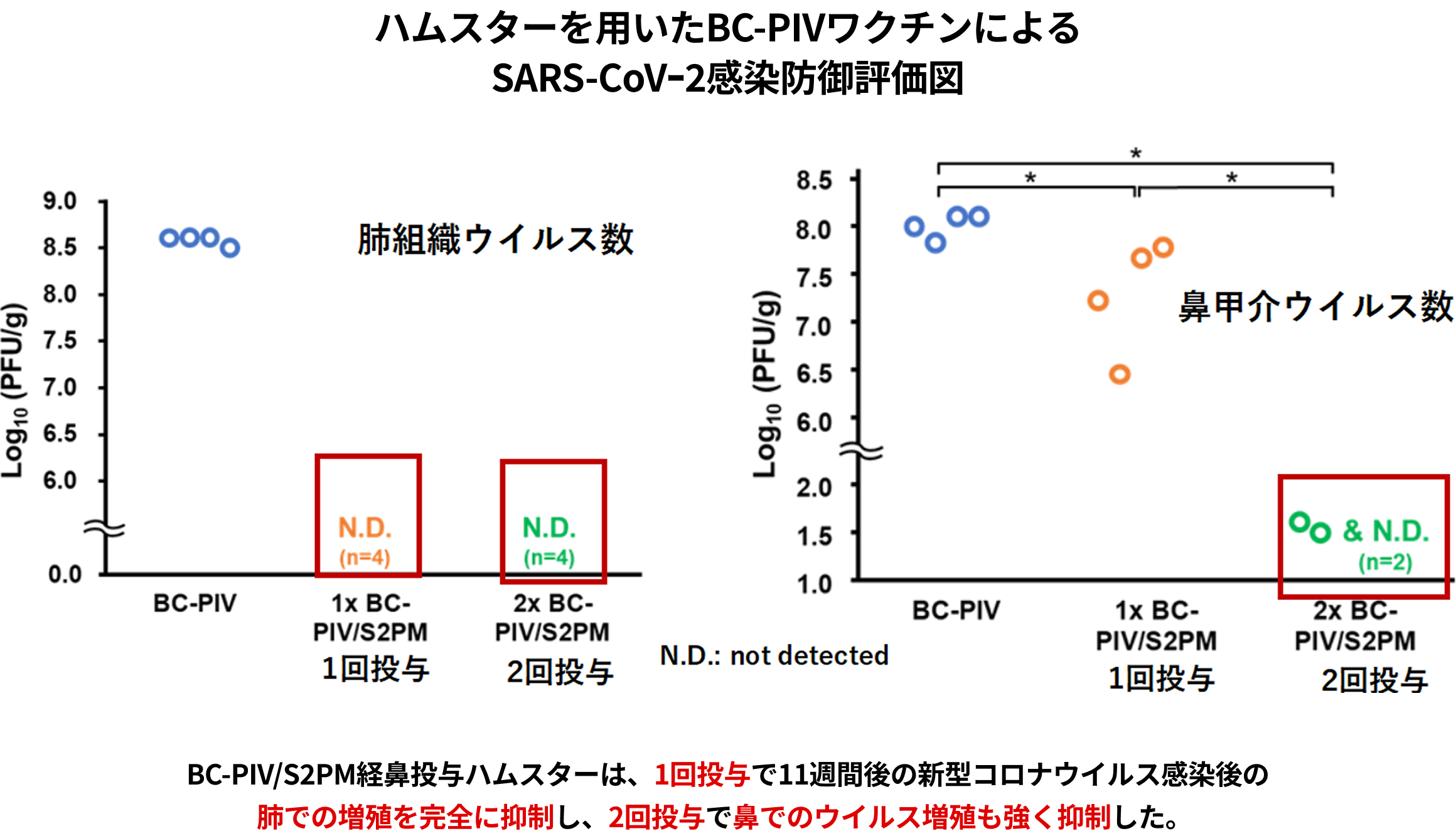 ハムスターを用いたBC-PIVワクチンによるSARS-CoVｰ2感染防御評価図