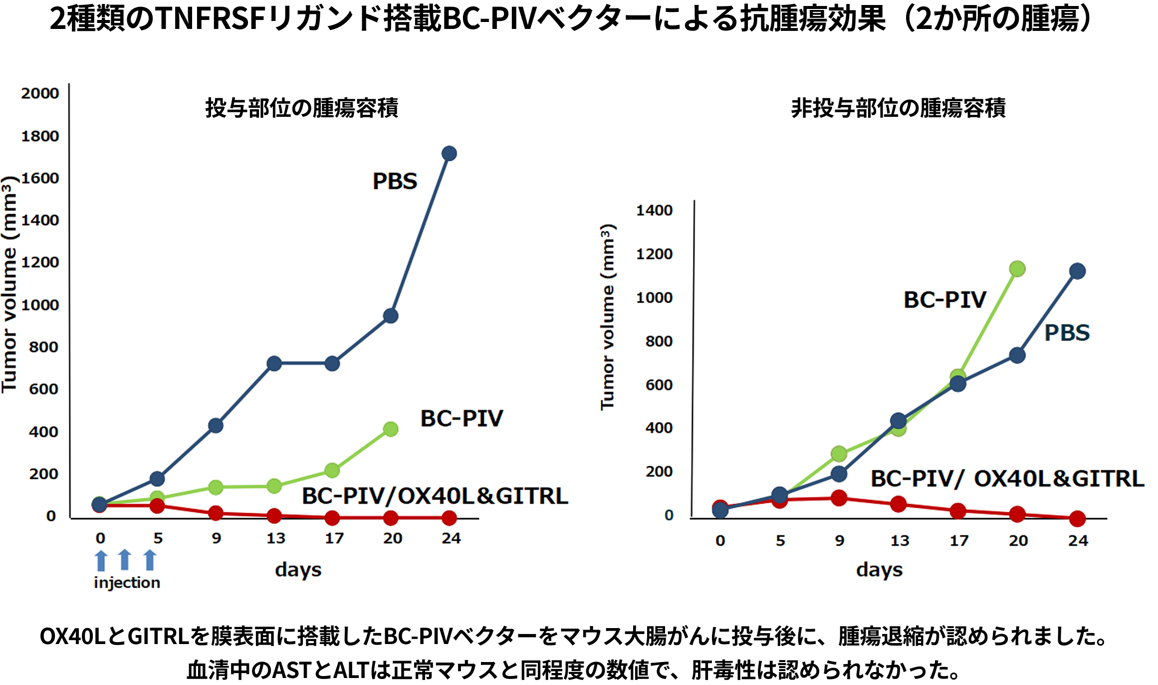 2種類TNFRSFリガンド搭載BC-PIVによるでの抗腫瘍効果（2か所の腫瘍）説明図